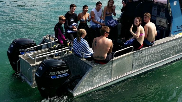 Mercury SeaPros deliver outstanding fuel savings for dive operator